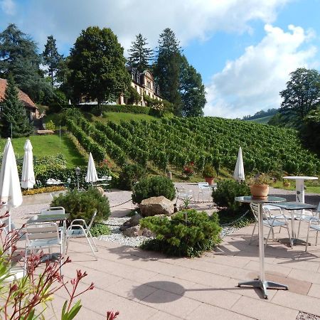 Wein Lodge Durbach - Gruppenhaus Weingut Neveu Bagian luar foto