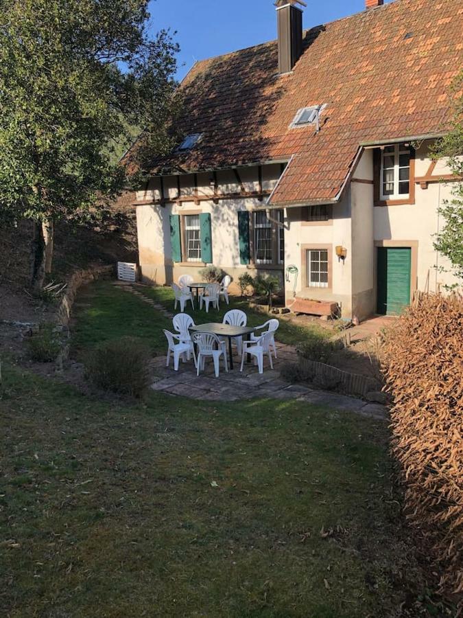 Wein Lodge Durbach - Gruppenhaus Weingut Neveu Bagian luar foto